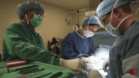 国内干细胞治疗帕金森病研究报道,干细胞治疗脑卒中最新研究情况