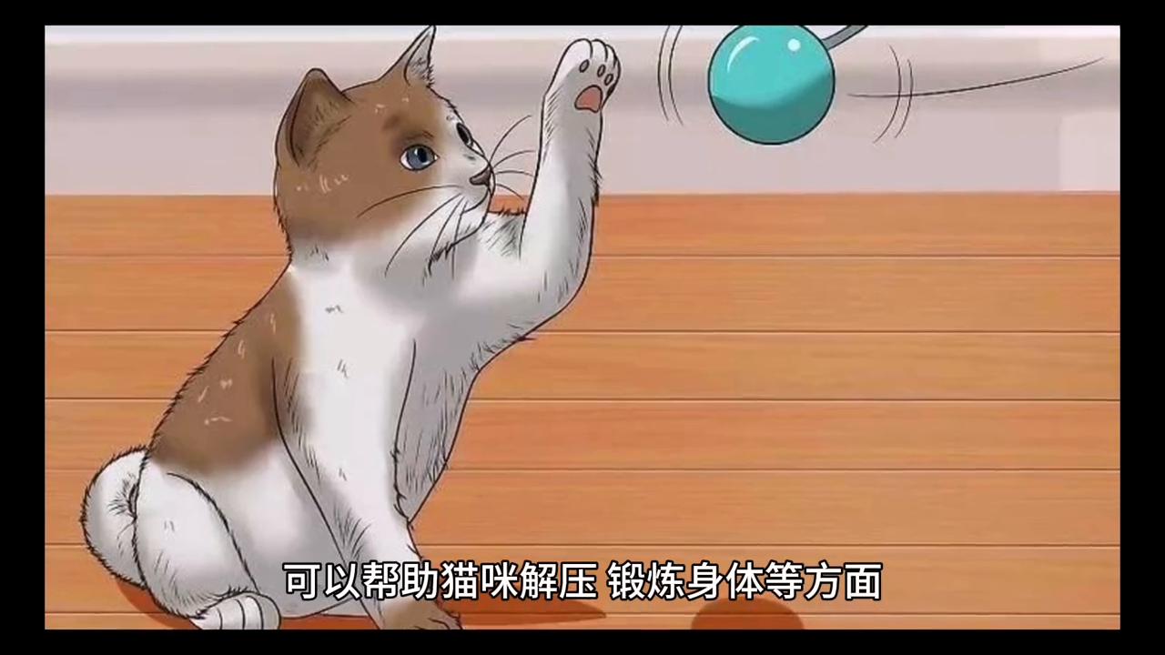 猫咪主粮搭配,猫咪主粮肉