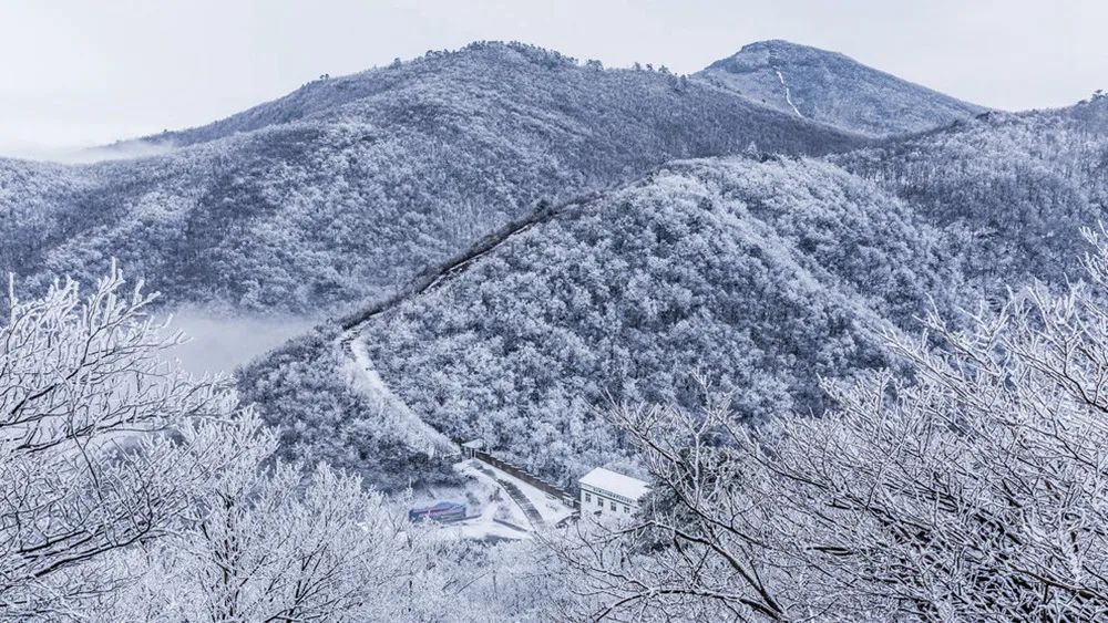 还剩10天!如何安全有仪式感地迎接元旦?这14条周边短线值得一去