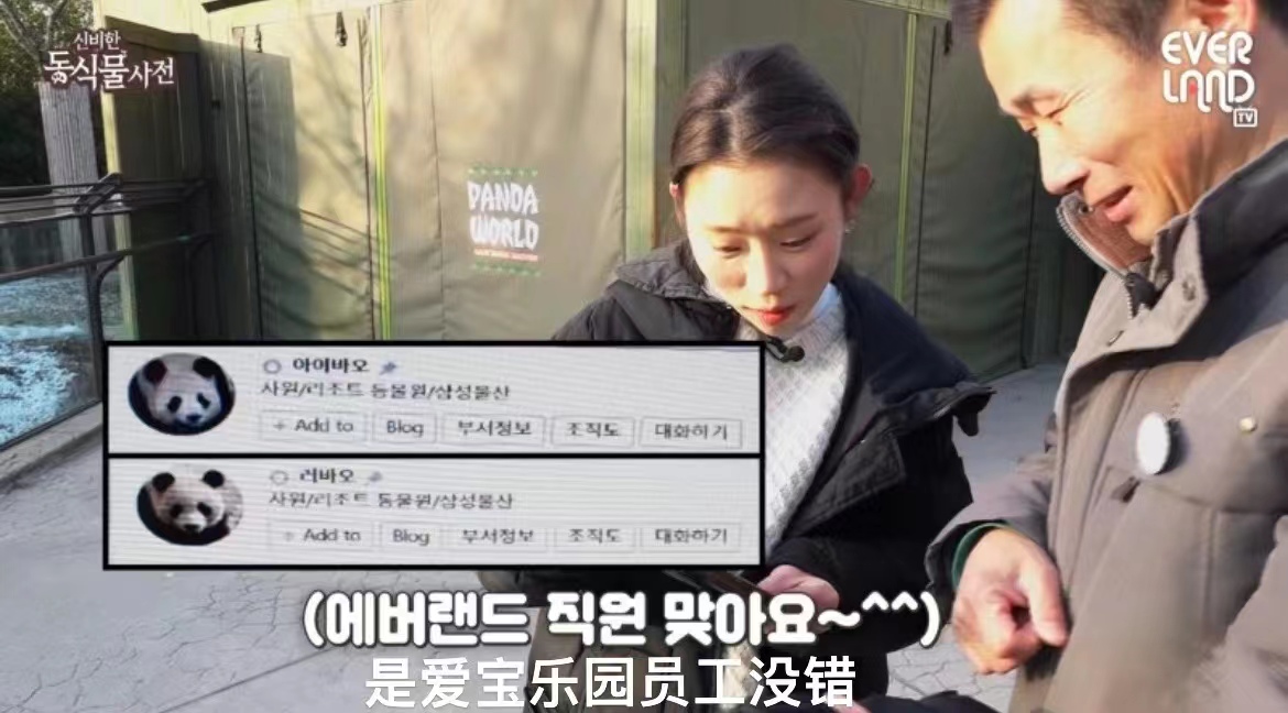 近期福宝和姜爷爷的视频,福宝回国姜爷爷和宋爷爷上热搜