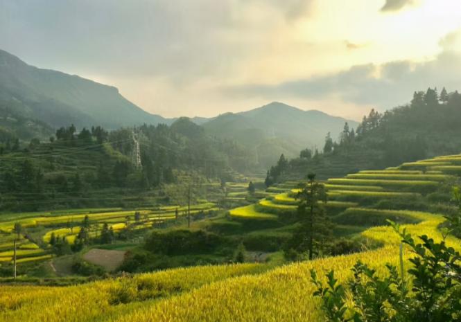 人到中年戒掉无效社交,戒掉购买欲