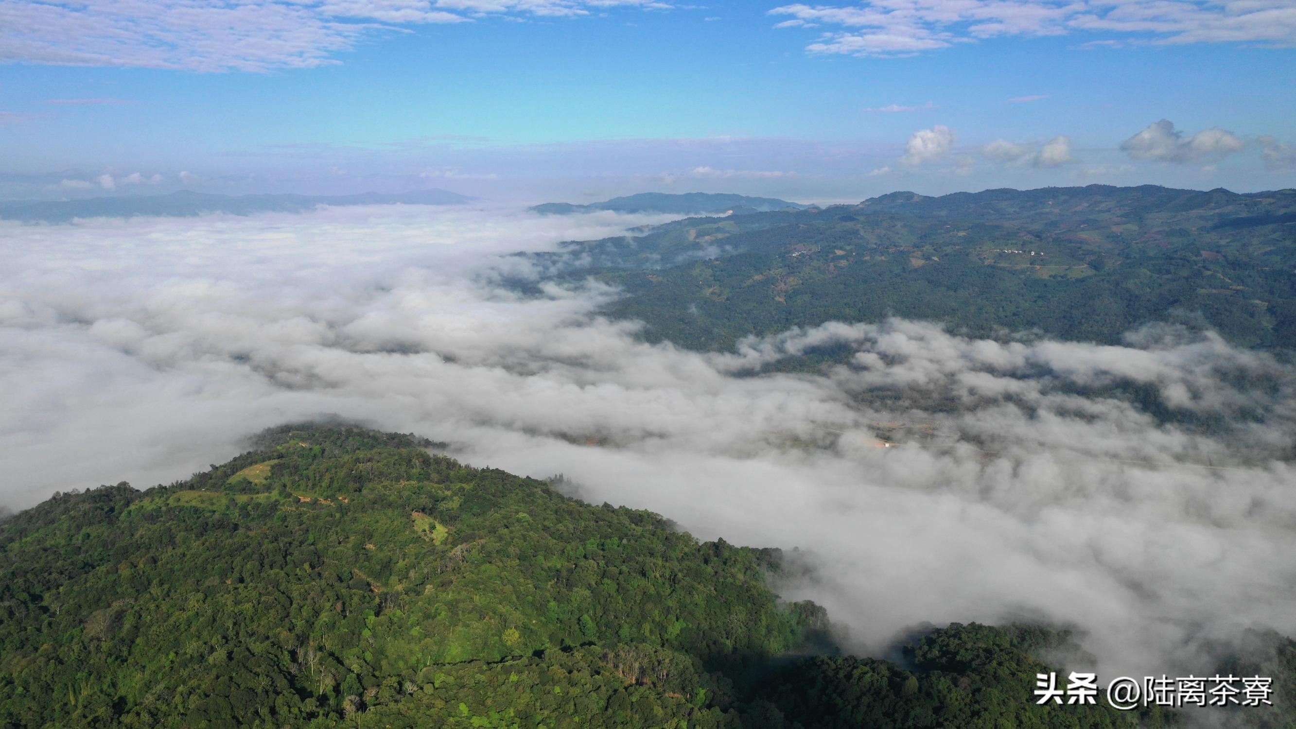 杜春驿澜沧古茶,杜春峰乌金熟茶澜沧古茶