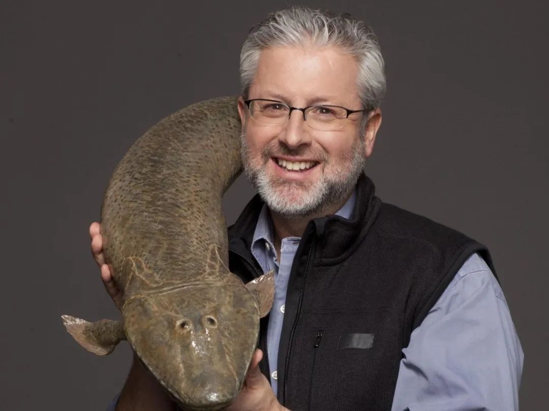 距今1.7亿年，重庆发现亚洲最古老剑龙，物种起源背后究竟有何秘密？