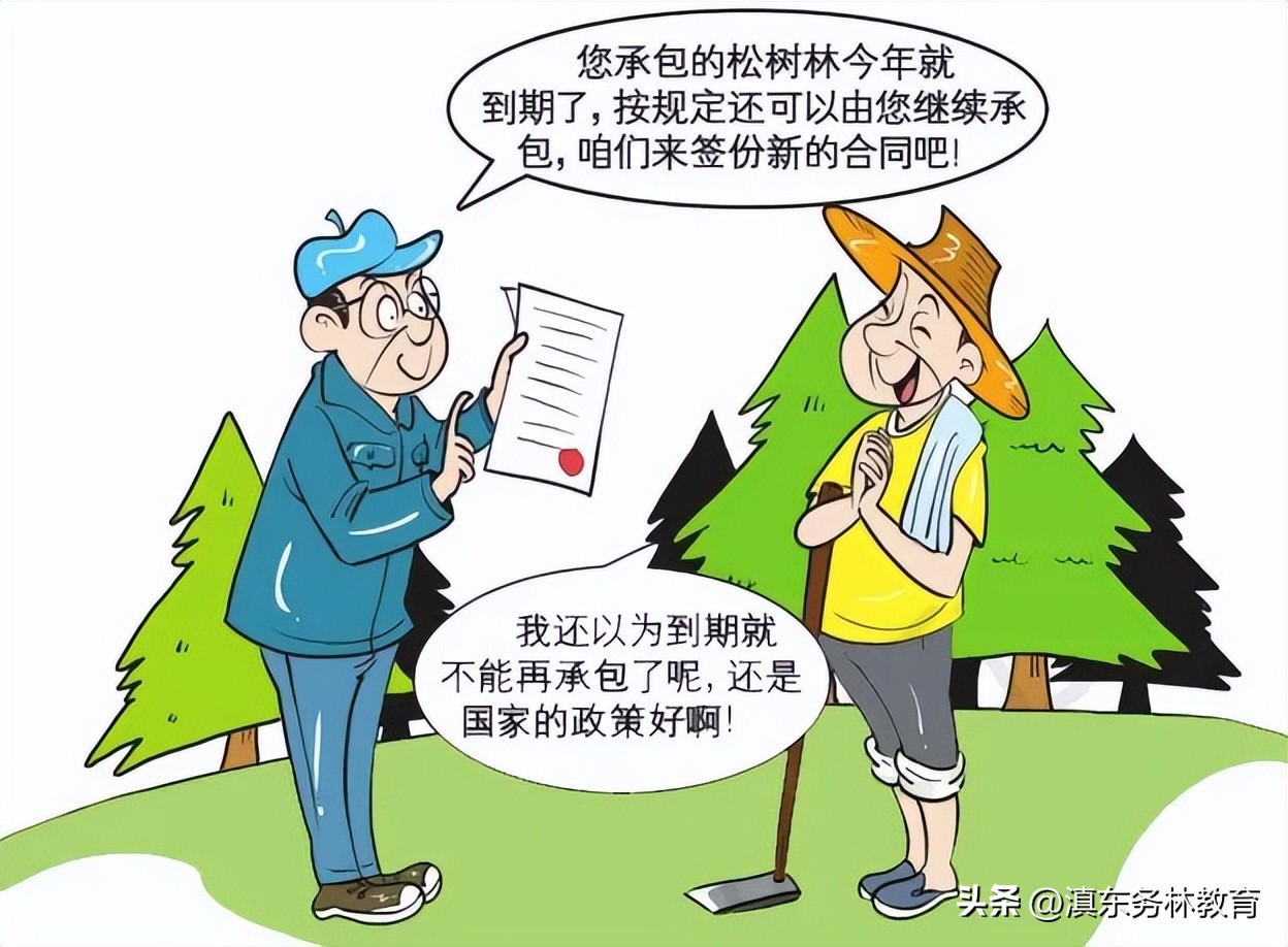 林地承包到期后地上林木如何处理,林地承包经营权到期后怎么办