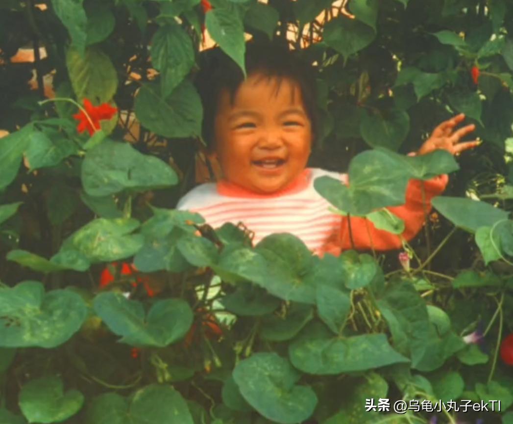 80后的我回乡创业之路,2022新农人返乡创业记录辛苦生活