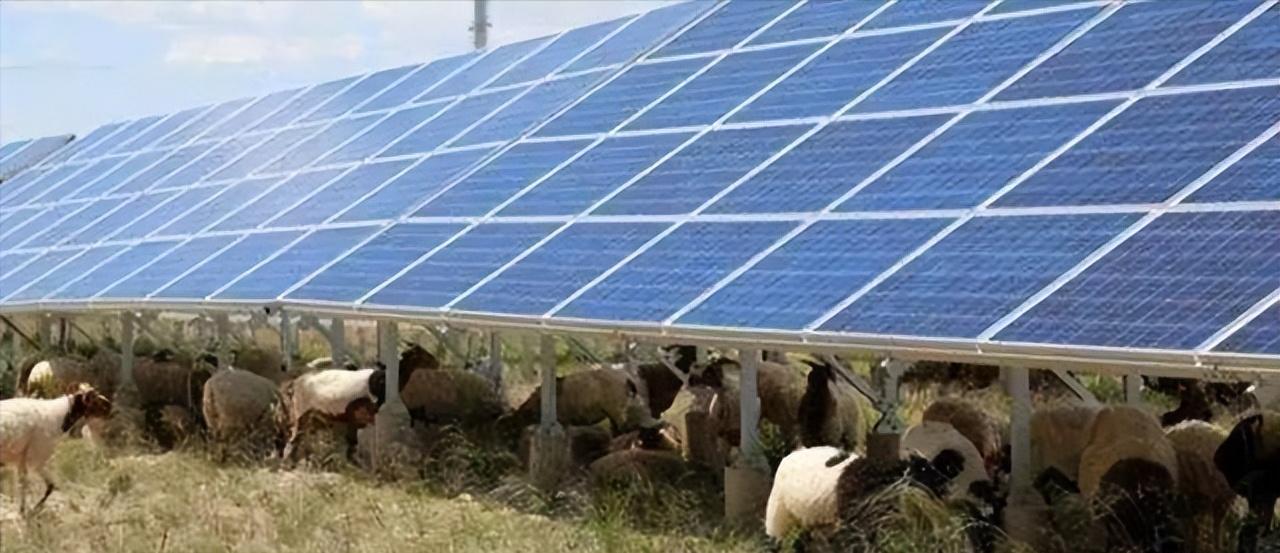 风力发电被喻为垃圾电,为什么国家还大力推广风电呢?