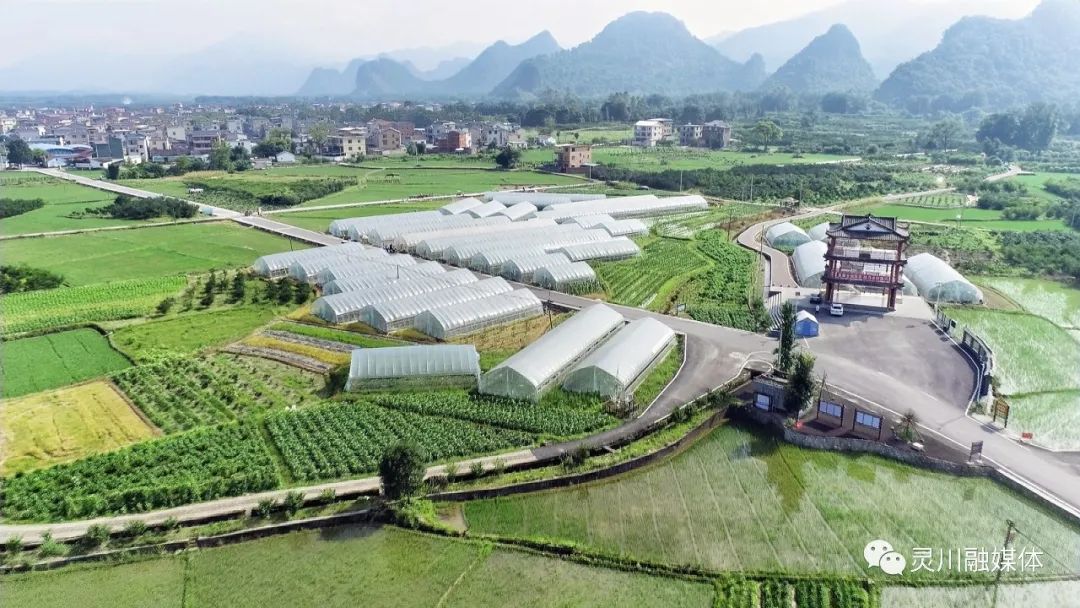 甜蜜产业促农增收,甜蜜产业致富模式