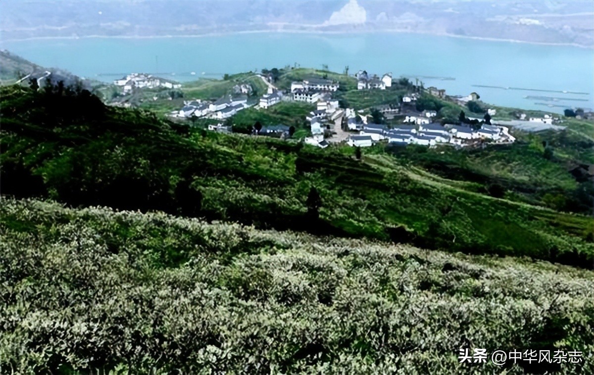 椽笔再赋大江东——写在彩云之南绥江真武山