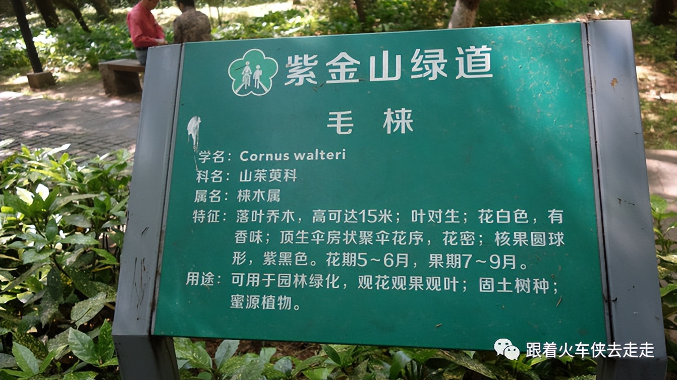 南京城墙下的琵琶湖,南京旅游先看城墙还是先看玄武湖