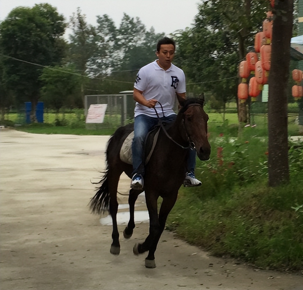 佟瑶在杭州什么地方落水,佟瑶酒后死在河中