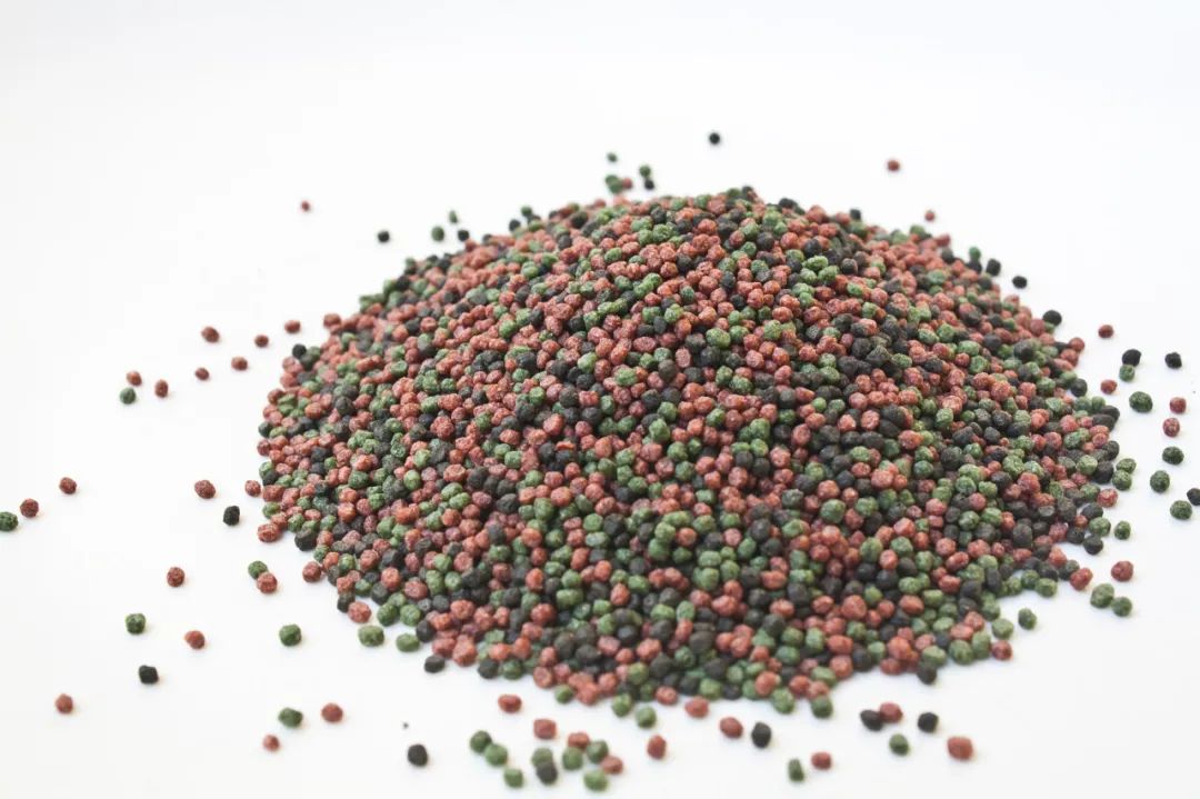 金鱼真的会撑死吗,金鱼被撑死是什么原因