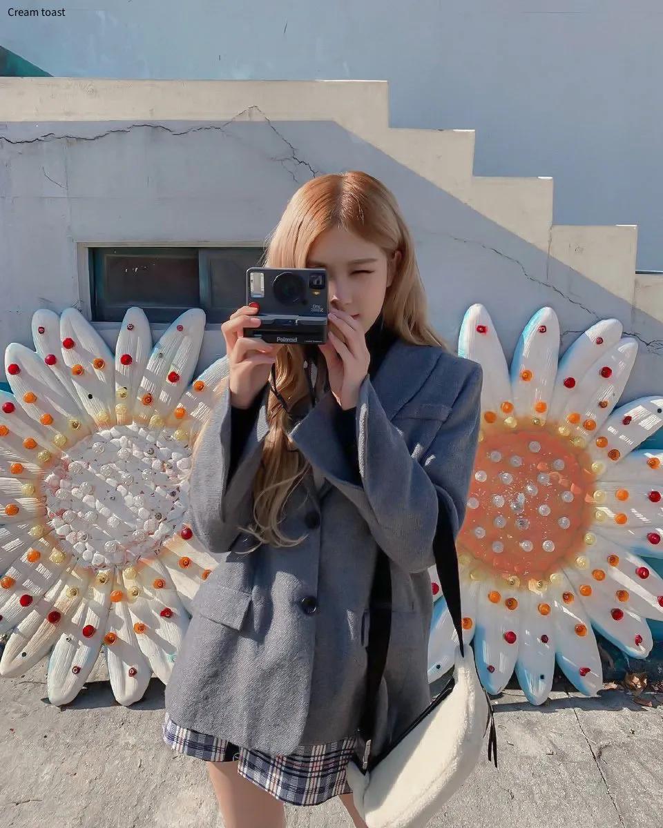 rosa澳洲野玫瑰,澳洲rose野玫瑰