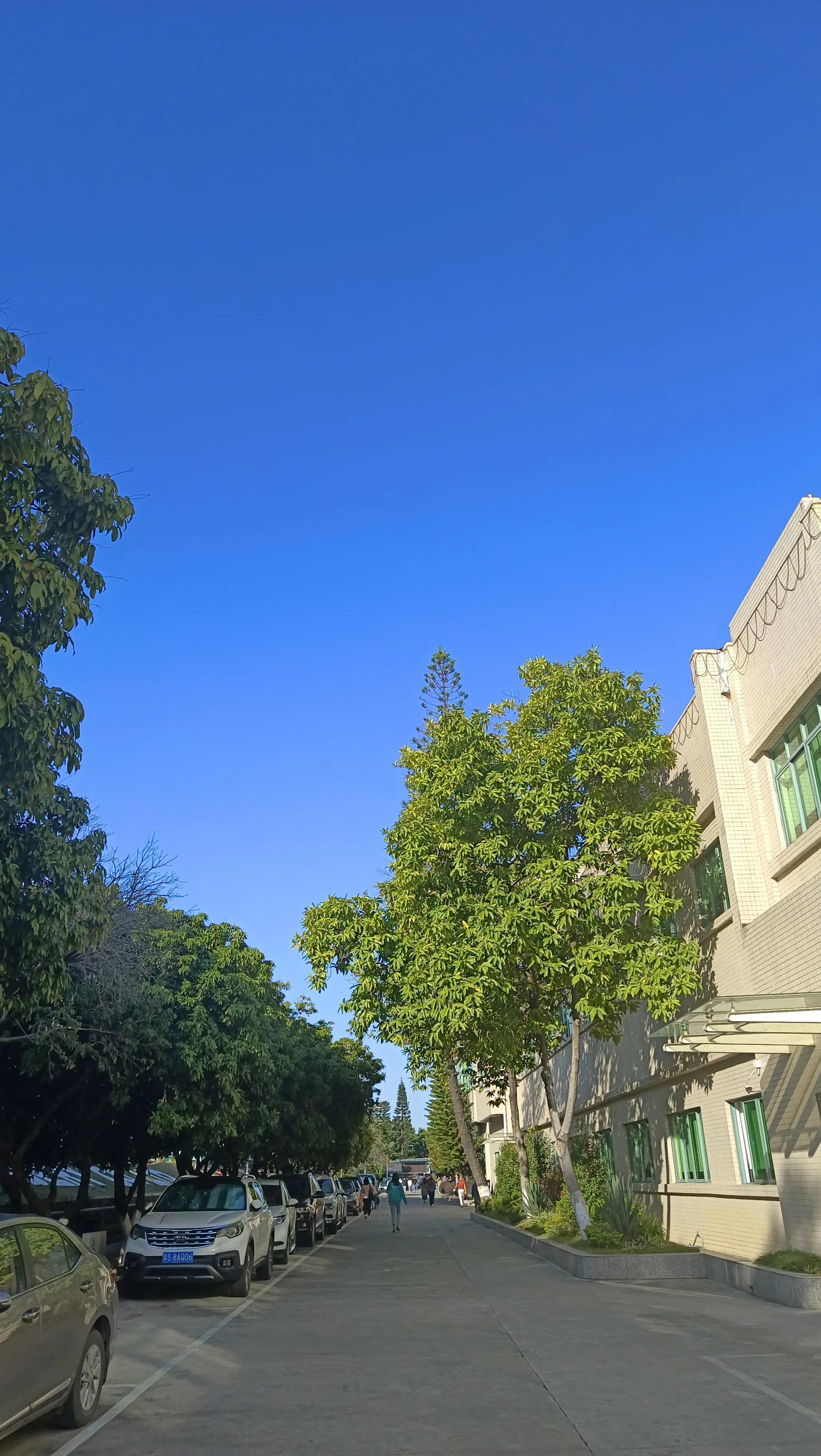 日语作文我的爱好,日语作文我的兴趣爱好七年级