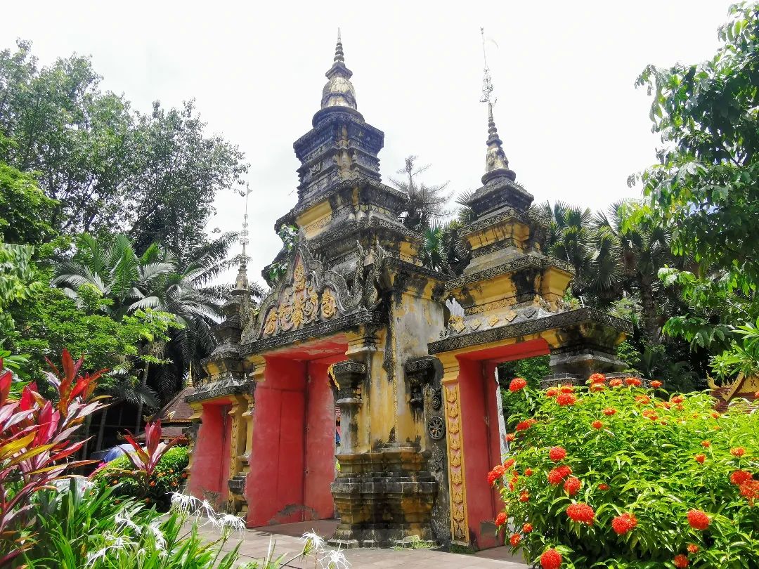 西双版纳七天六夜攻略,西双版纳五天六夜之旅完美结束