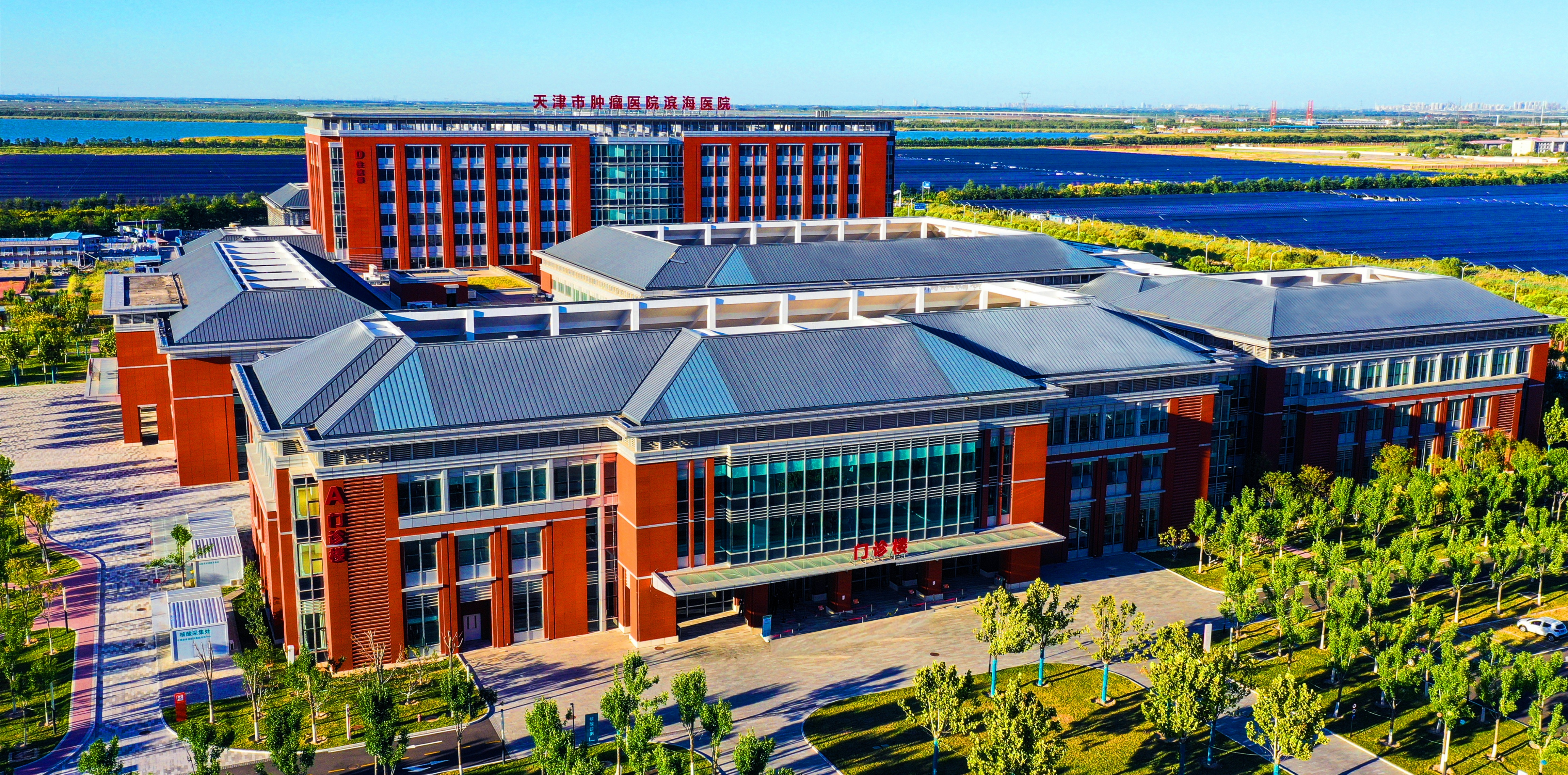 天津肿瘤医院乳腺癌临床试验招募,天津市国际精准医学肿瘤中心