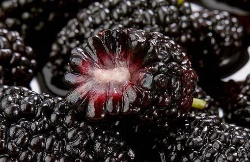 四月份的应季水果和蔬菜有哪些,5月必吃的6种应季水果