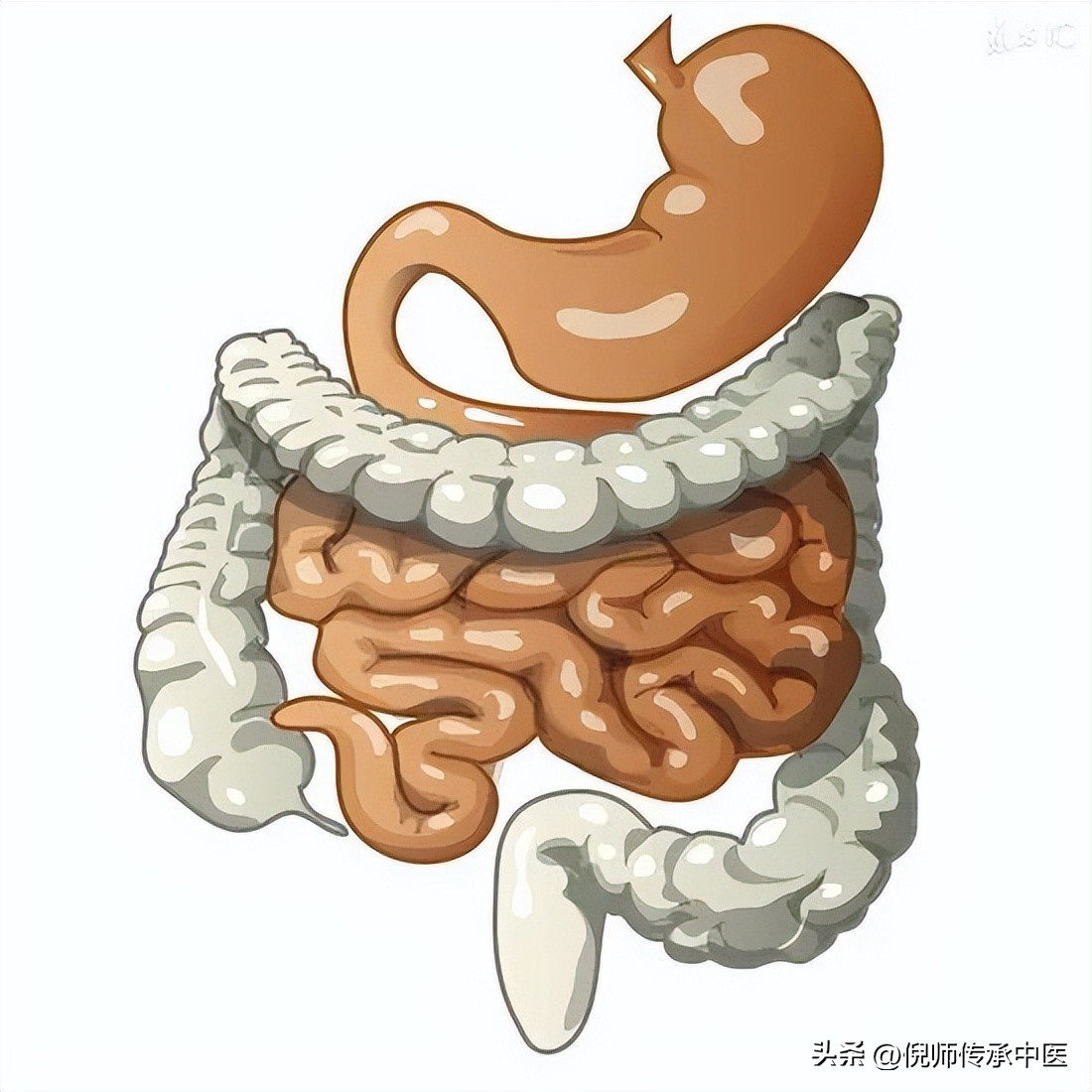 倪海厦讲黄帝内经阳气,倪海厦讲阳气很足是怎么样的