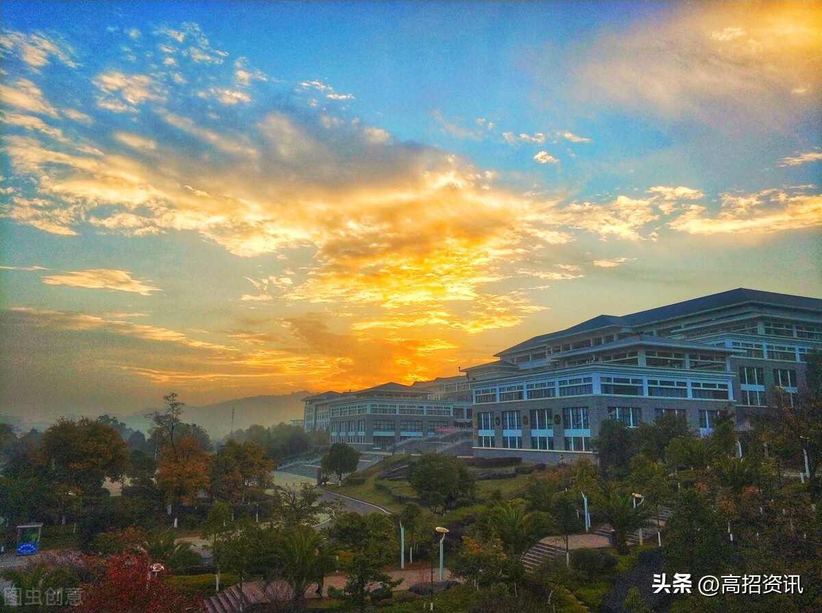 师范、电气、财经等10大热门行业“黄埔军校”及云南高校龙虎榜