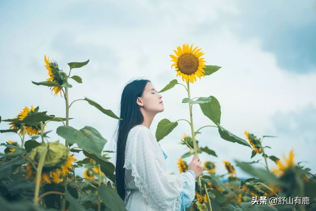 人一生要赚多少钱都是有定数的吗,人一生赚多少钱都有定数