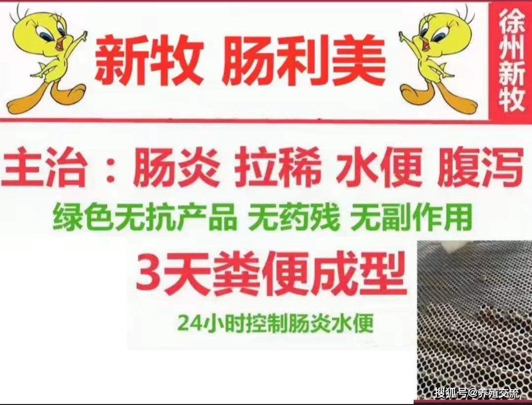 鸡吐水嗉囊大怎么回事,鸡吐水流粘液怎么回事