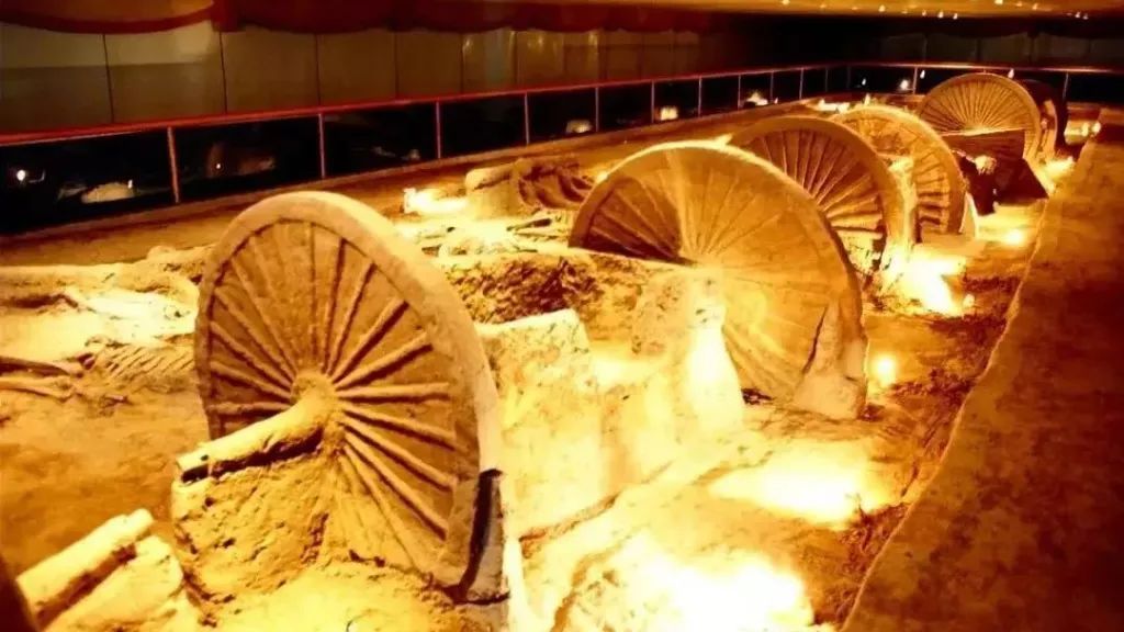 齐乐游|半价,免费!暑假结束前,最不能错过的目的地!边玩边收心