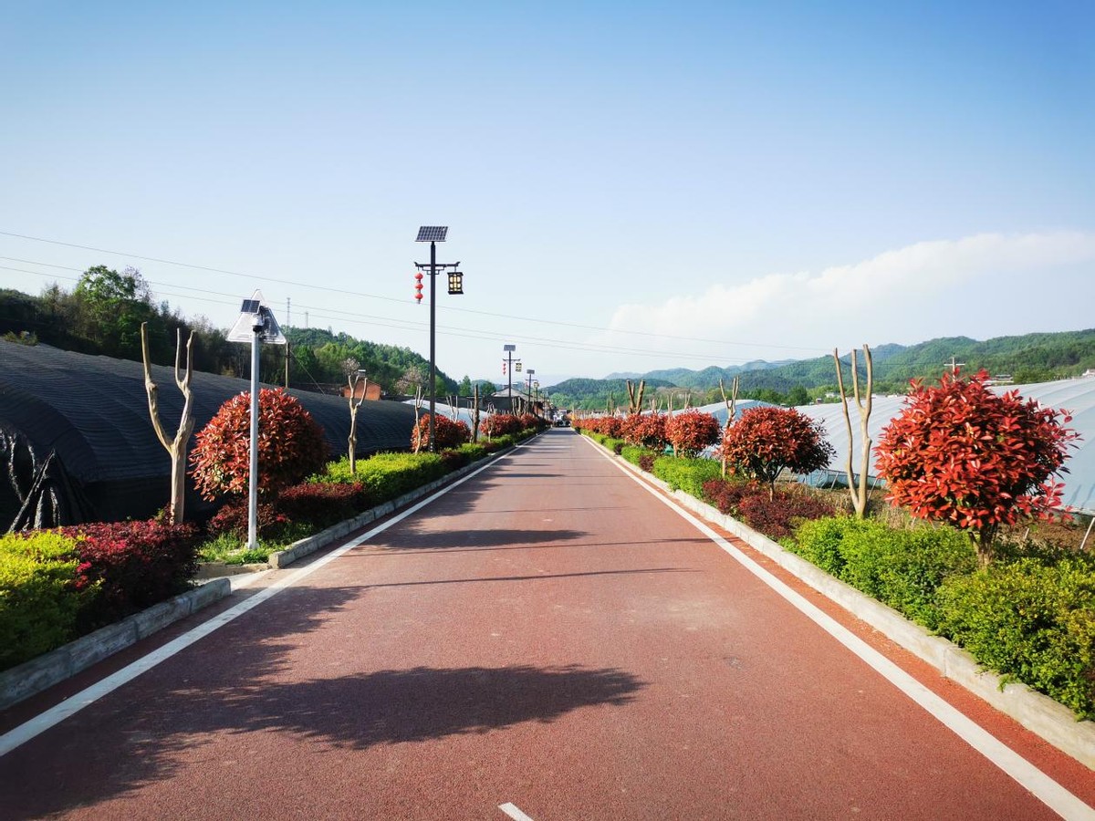 脚踏实地建家园的“铁哥”——石泉县中池镇人大代表陈柳