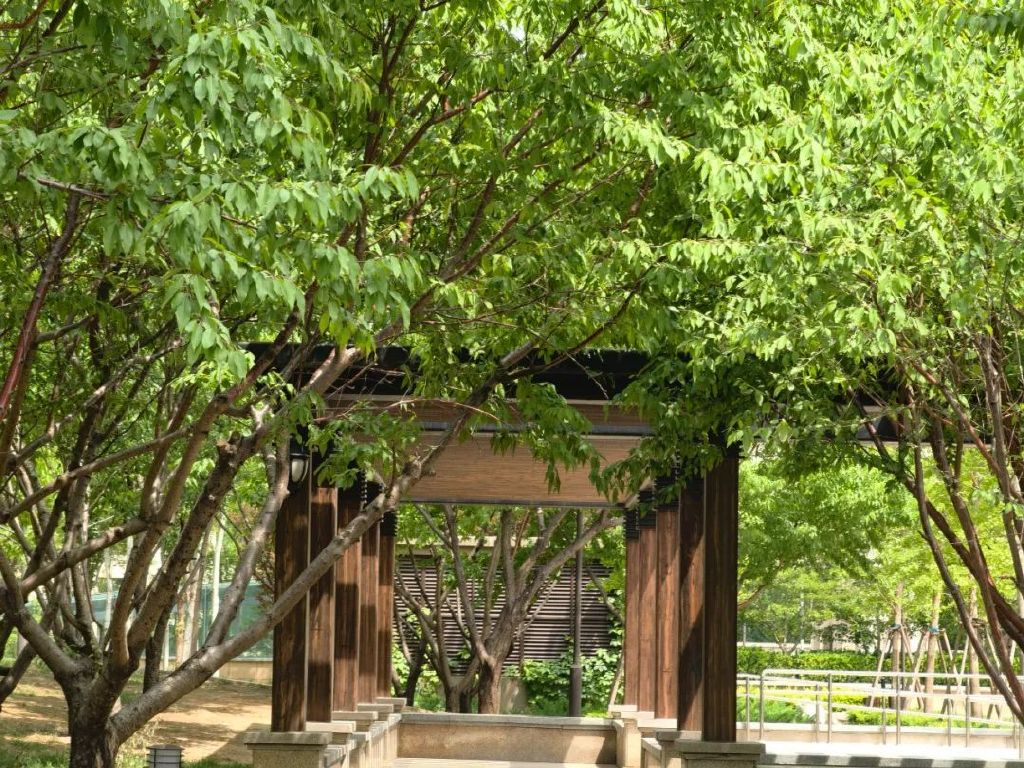 谁是影像机皇,谁才是手机机皇