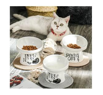 泪痕的预防和消除,泪痕猫护理