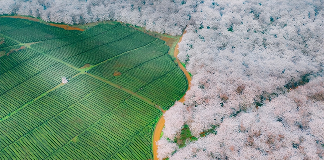 安顺旅游推荐,贵州安顺旅游线路攻略最新
