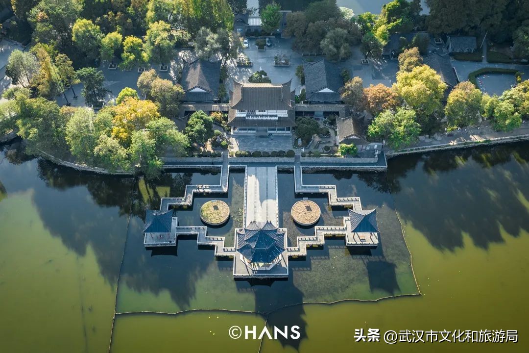 离武汉人最近的湿地，家楼下的10个宝藏小湖