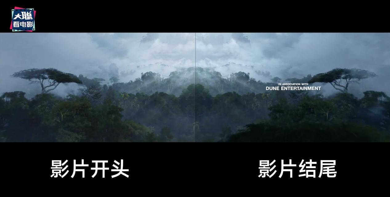 阿凡达细节讲解,阿凡达2全过程讲解