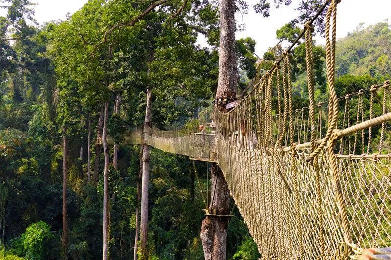 乐享云南,乐享云南美景怒江皇冠山