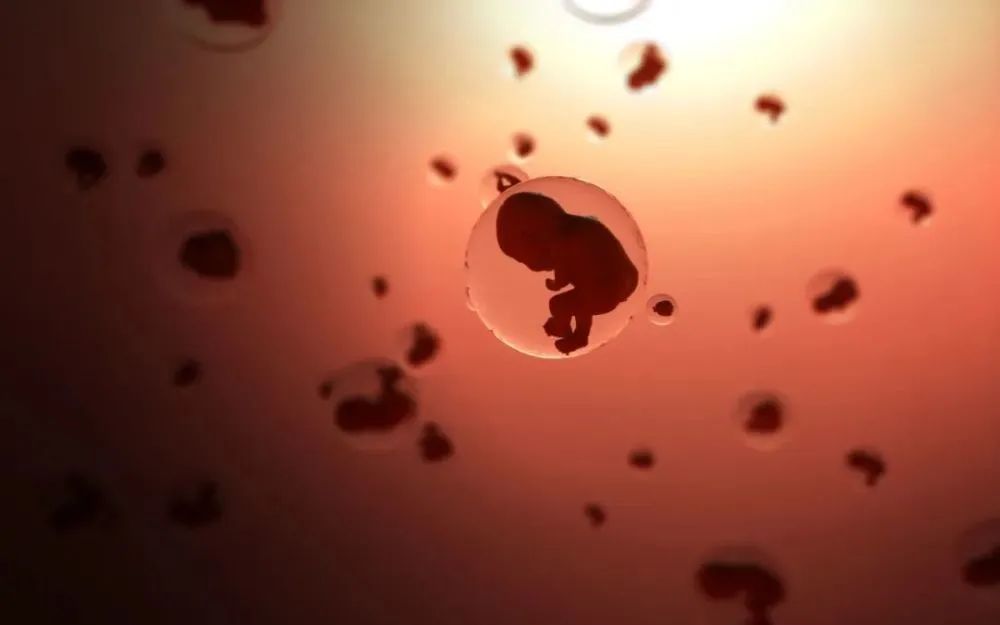 子宫内膜和胚胎怎么结合,子宫内膜好胚胎好成功率高吗