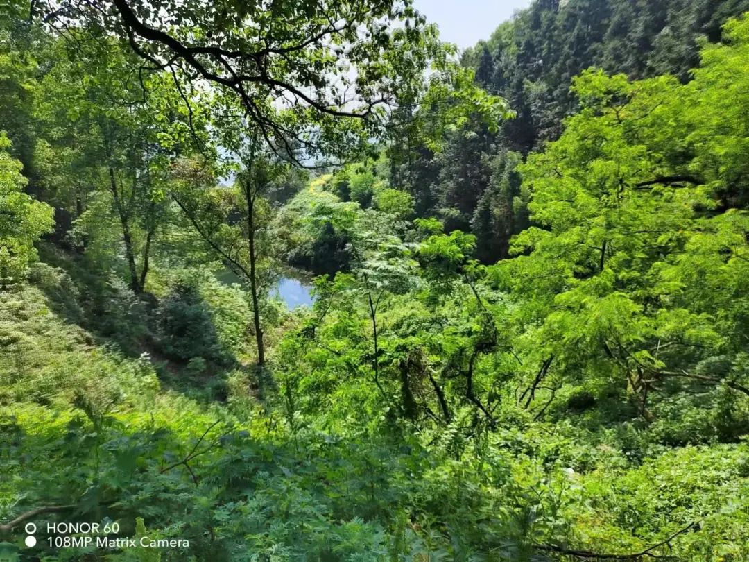 污染环境罪危险废物典型案例,环境污染罪严打2016年