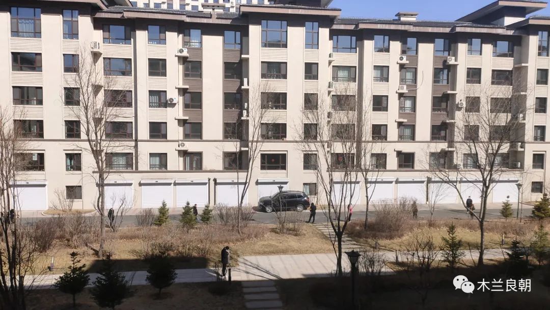 亲爱的大白我想对您说,亲爱的大白