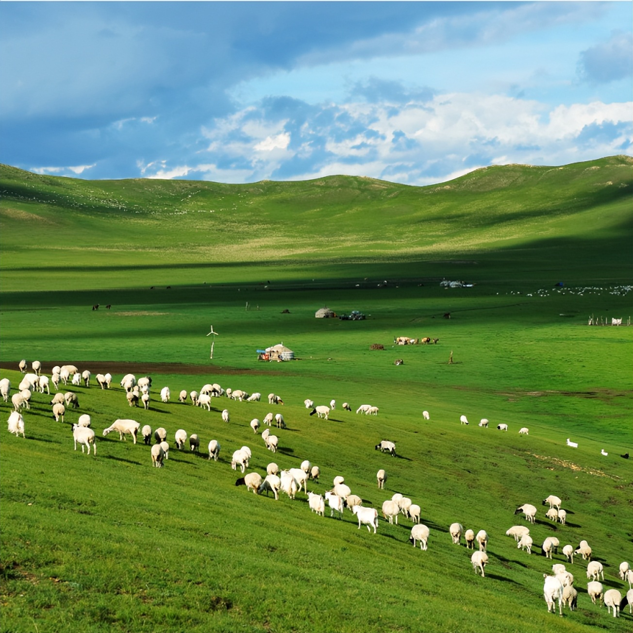 来打卡！锡林郭勒十大网红打卡地