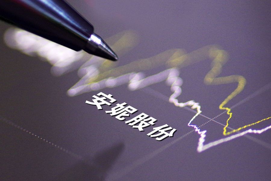 安妮股份：稳定增长的行业领导者