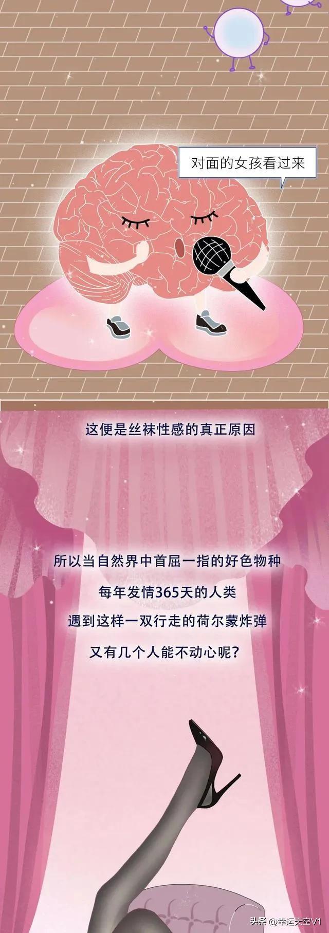漫画科普:为何说*袜丝**是男女们共同的“衷爱”？别害羞进来看看