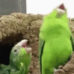 睡不着文案可爱沙雕朋友圈,长痘痘朋友圈文案可爱沙雕