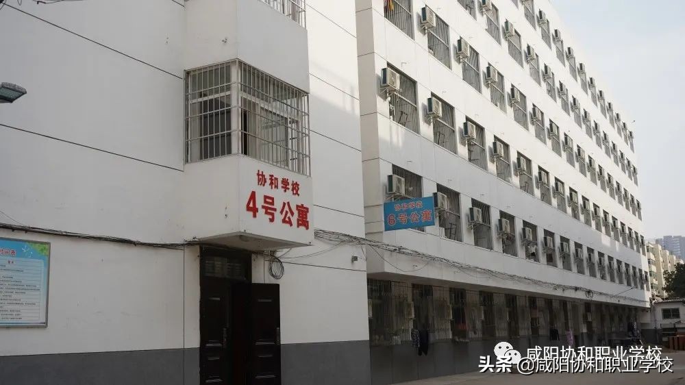 选择协和的“10大理由”