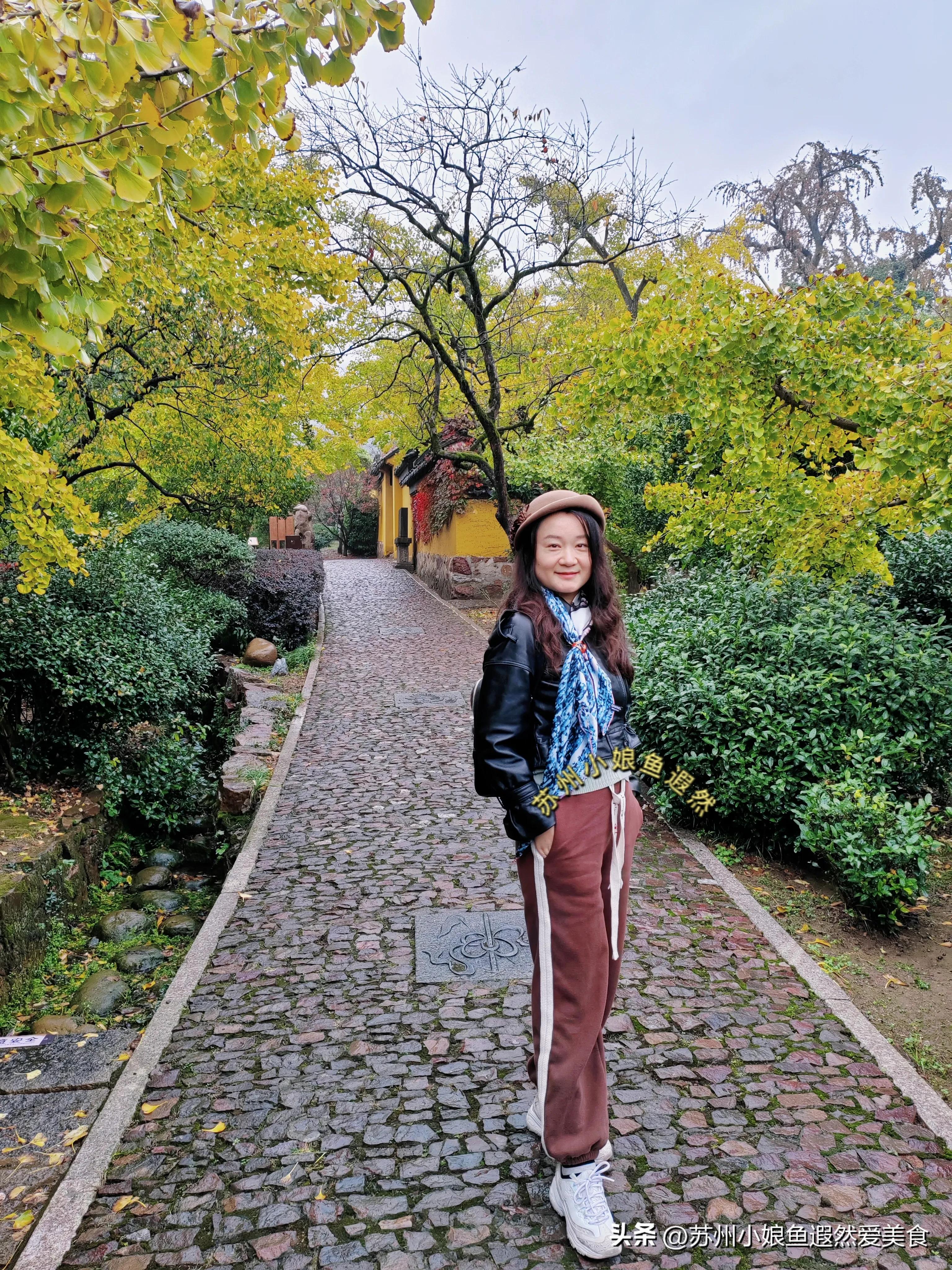 苏州一日游攻略探索更好玩的景点,苏州一日游景区推荐