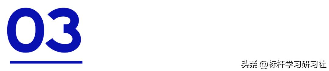 靠一辆玩具车，骗走300亿！扬言干掉马斯克的人，把自己送进监狱