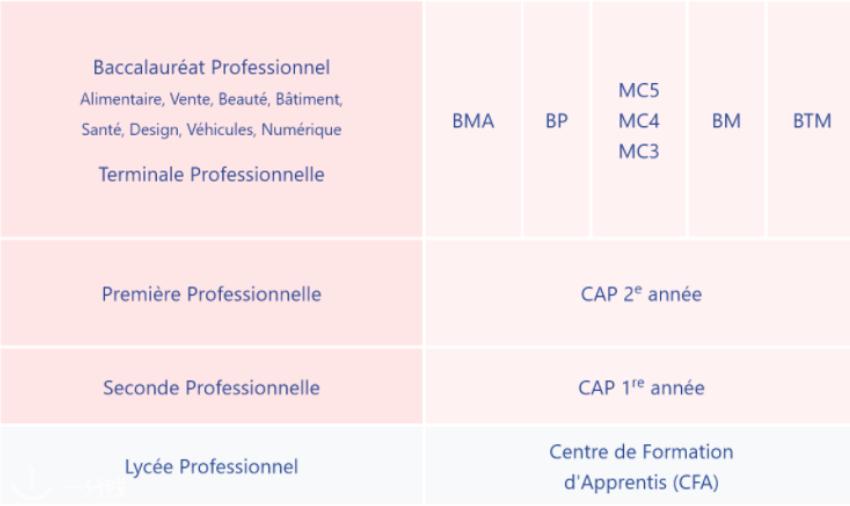 中法教育差异,中法高等教育体系对比