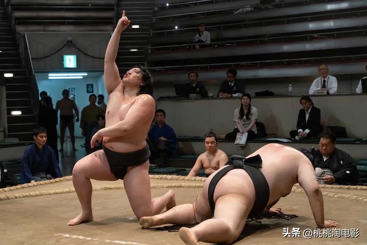 6个月过去了，这些好剧我们不该忘记