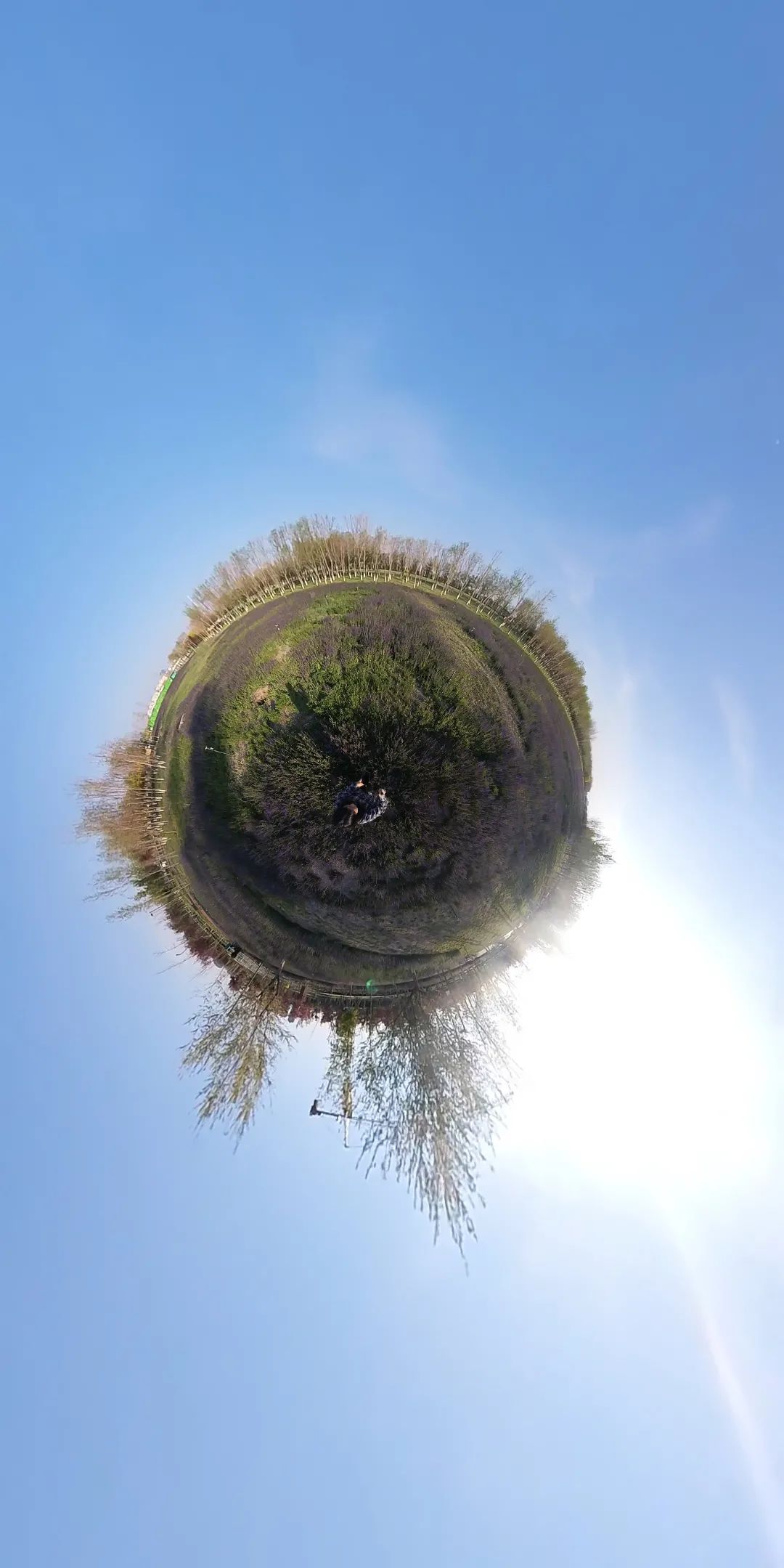 十二师各景点图片,十二师头屯河谷森林公园景区