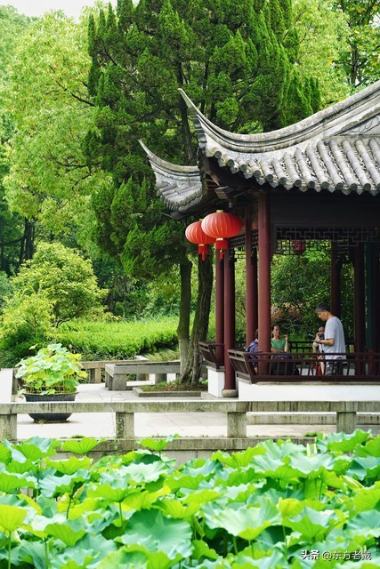 65岁老头想让60岁女人倒贴钱过日子,女人如何让老头从梦中醒来?