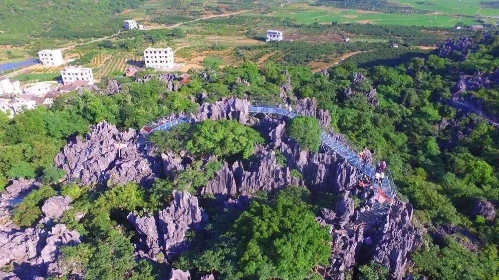 广西旅游攻略天洞,广西旅游攻略大明山