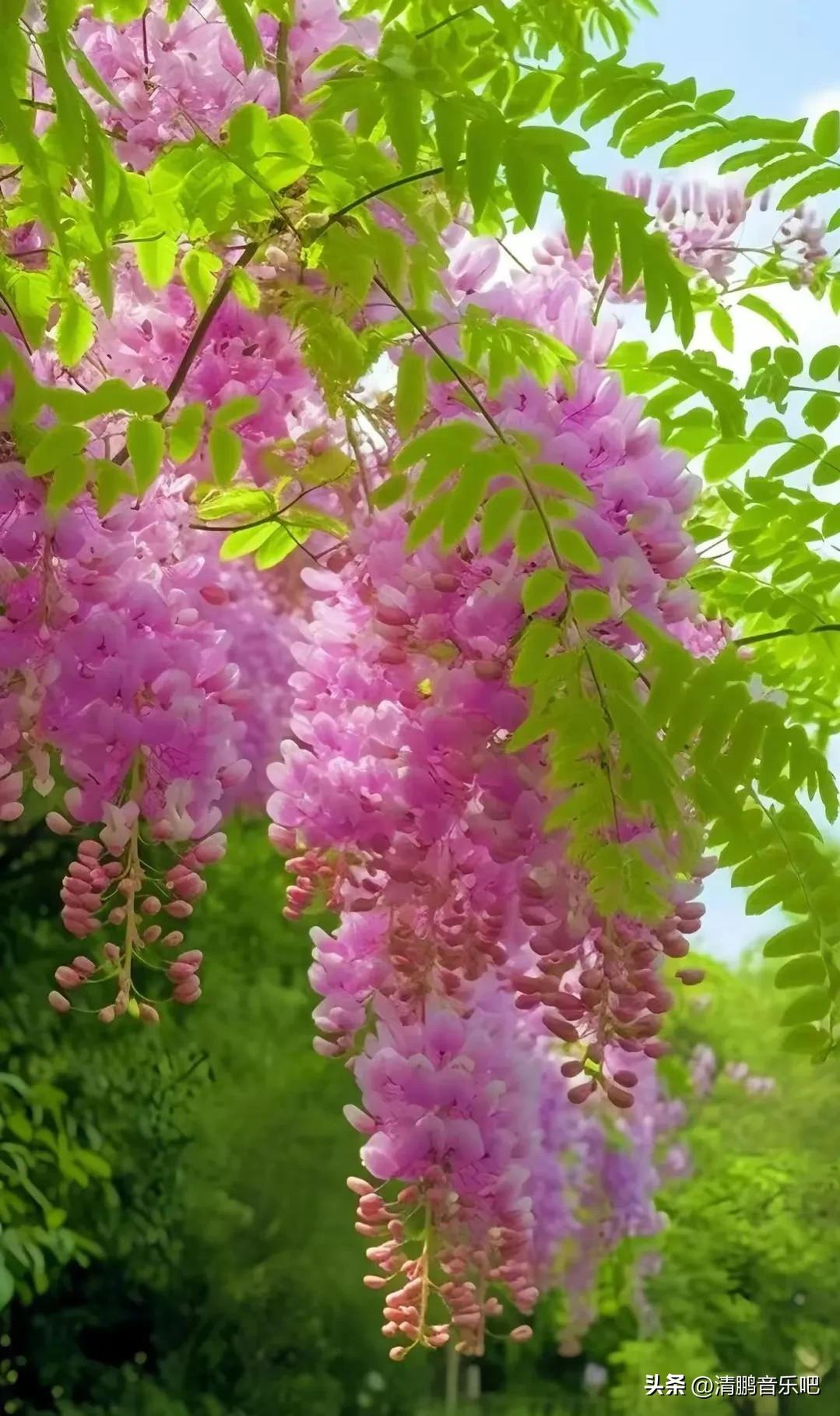 考研复习坚持不了怎么办,考研无望还有必要坚持下去吗