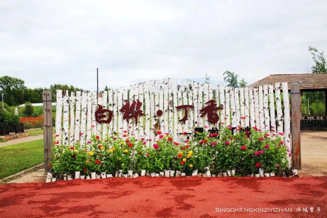 黑龙江恐龙之乡嘉荫县,中俄边境伊春市嘉荫县