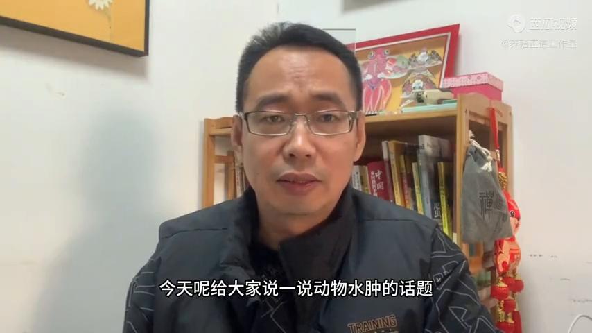 动物肺水肿是怎么引起的,动物肺水肿治疗效果